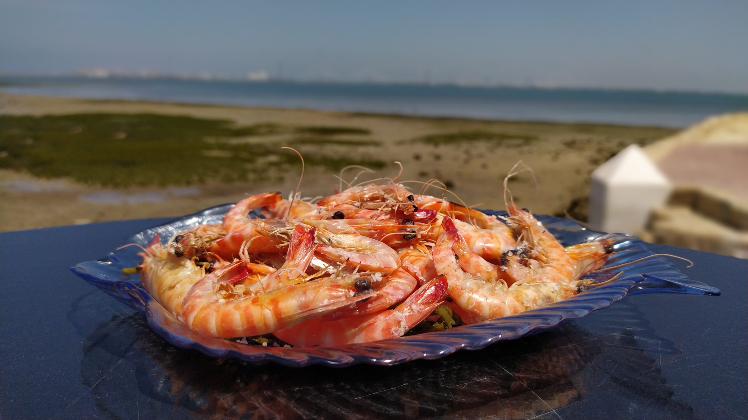 Plato de langostinos en la terraza del restaurante Marambay Cadiz