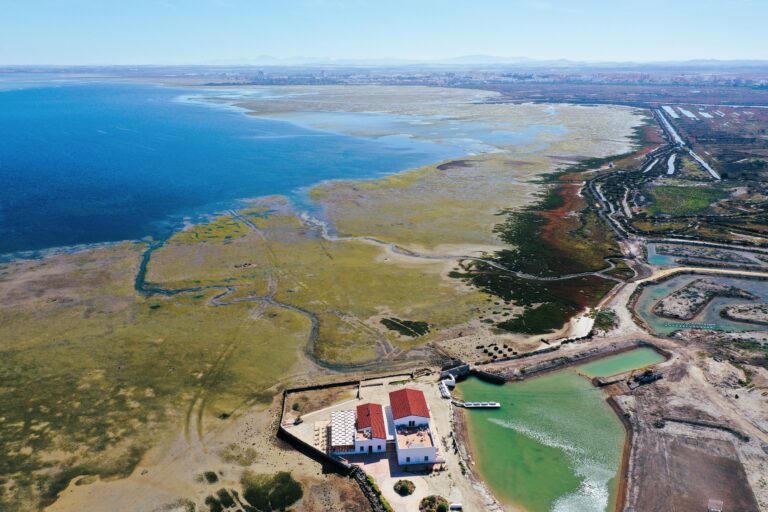 Lee más sobre el artículo Un Tesoro Escondido en los Humedales de Europa