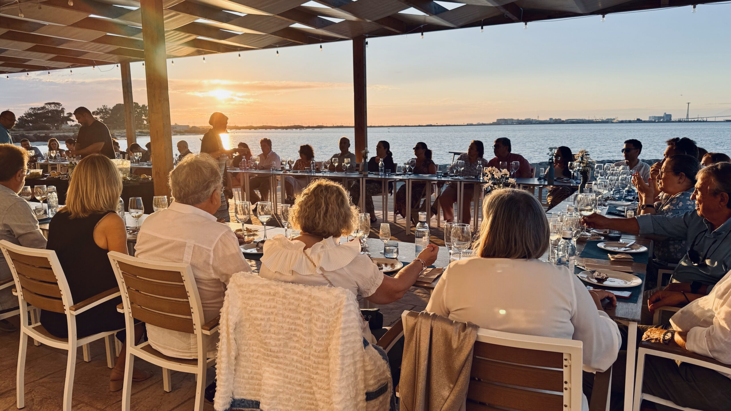 cata de ostras terraza bahia